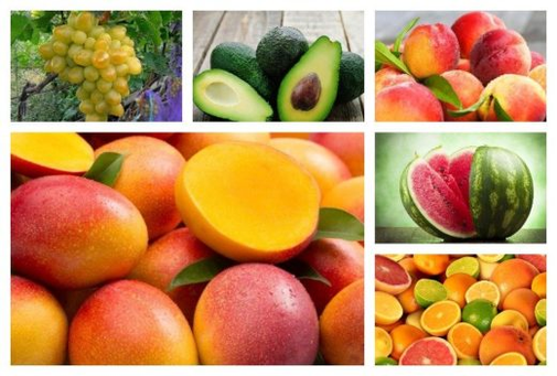 frutti per potenza